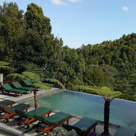 Bintang Munduk Hotel Exterior photo